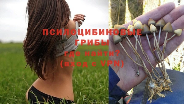 первитин Домодедово
