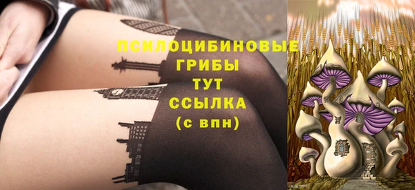 МДПВ Абаза